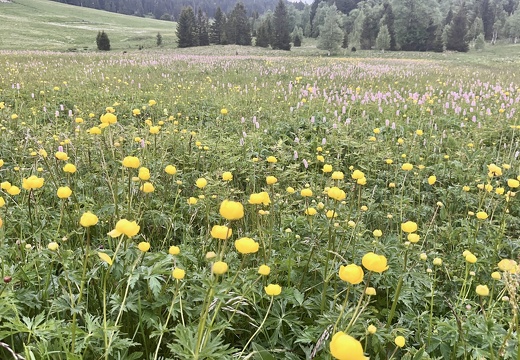 312976A6-2B67-48C9-8913-878D21B666CC